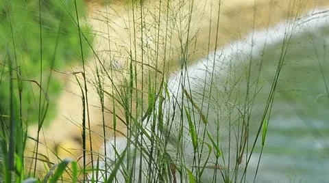 Pacific beach Stock Footage 11337537