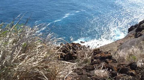 Pacific Cliff Video stock 10596646