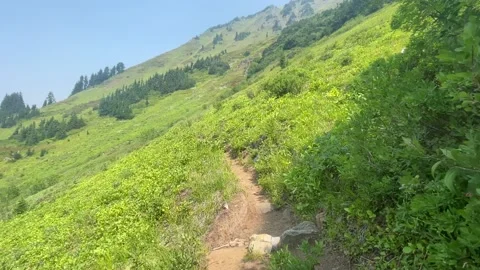 Pacific Crest Trail in Glacier Peak Wilderness, Washington Stock-Footage 221581337