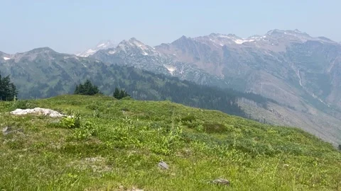 Pacific Crest Trail Glacier Peak Wilderness near White Pass Stock Footage 221581341