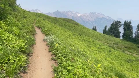 Pacific Crest Trail in Glacier Peak Wilderness Stock Footage 221581345