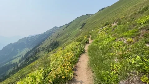 Pacific Crest Trail Glacier Peak Wilderness, Washington Video stock 221581372