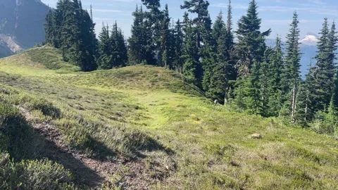 Pacific Crest Trail in Glacier Peak Wilderness Stock Footage 221581468