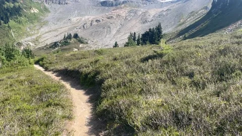 Pacific Crest trail in Glacier Peak Wilderness Stock Footage 221581499