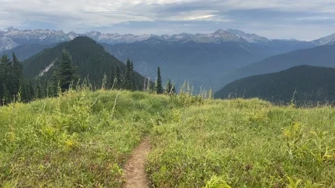 Pacific Crest Trail: Glacier Peak Wilderness Washington Video stock 221581638
