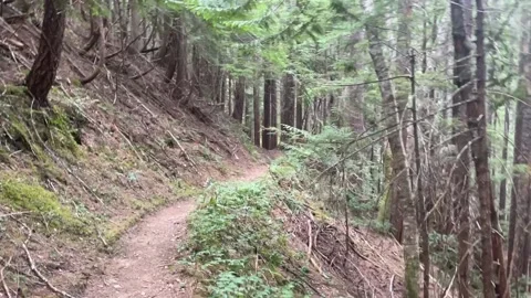 Pacific Crest Trail in Glacier Peak Wildernes Video stock 221581675