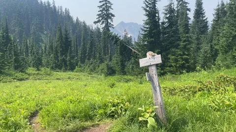 Pacific Crest Trail Junction with Indian Creek Trail, Glacier Peak Wilderness Stock-Footage 221581325