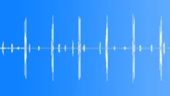Pacific golden plover Voice of arctic tundraSound Effect