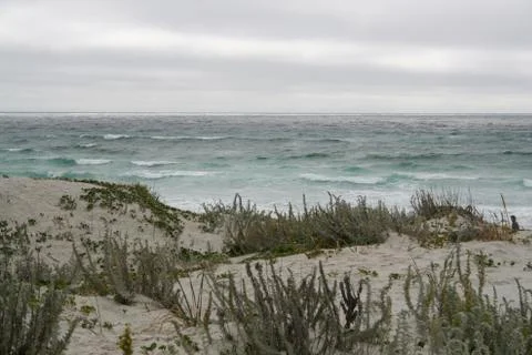 Pacific Grove Stock Photos