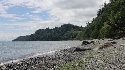 Pacific Northwest Beach Stock Footage 200982424