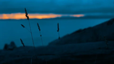Pacific Northwest Beach Rack Focus Stock Footage 91257879
