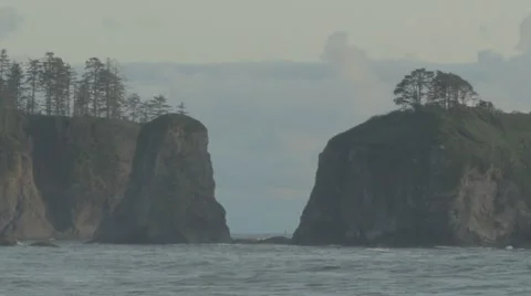 Pacific Northwest Beach Scene Stock Footage 40002166