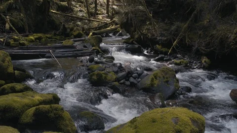 Pacific Northwest Creek - Mount Baker Wilderness Stock Footage 88799201