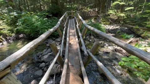 Pacific Northwest Forest Stream Bridge Stock Footage 250480063