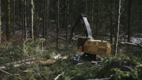 Pacific Northwest Logging Operation Stock Footage 204874257