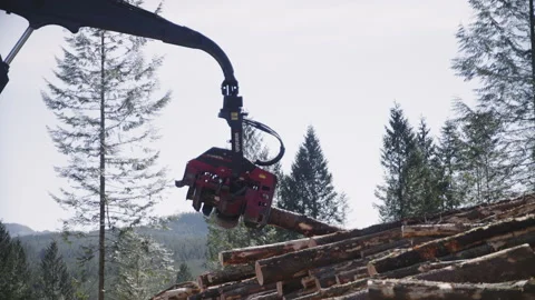 Pacific Northwest Logging Operation Stock Footage 204874842