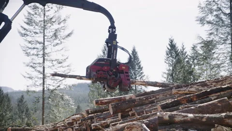 Pacific Northwest Logging Operation Stock Footage 204874912
