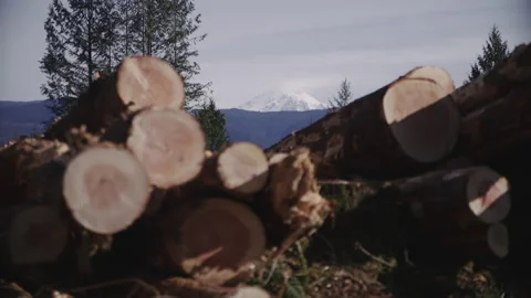 Pacific Northwest Logging Operation Stock Footage 204875008