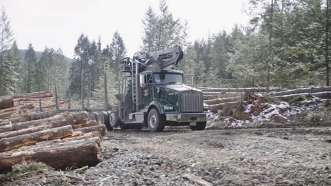 Pacific Northwest Logging Operation Stock Footage 204875049