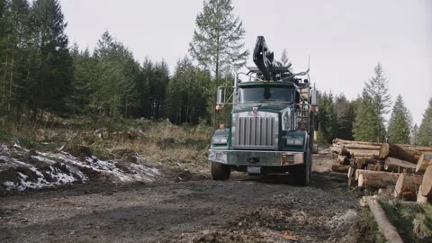 Pacific Northwest Logging Operation Vídeos de archivo 204875716