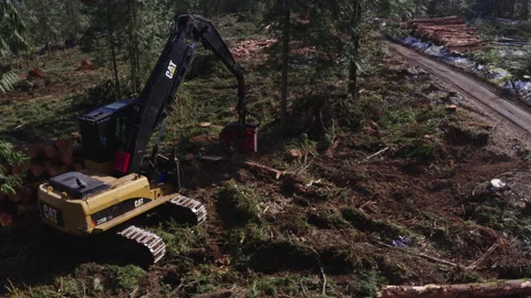 Pacific Northwest Logging Operation Stock Footage 204875764