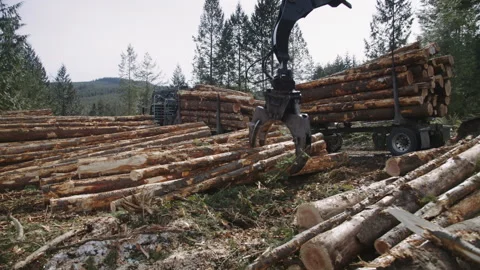 Pacific Northwest Logging Operation Stock Footage 204875773