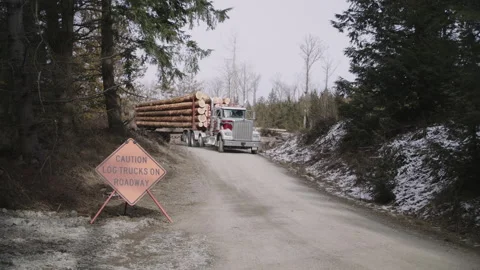 Pacific Northwest Logging Operation Stock Footage 204875789