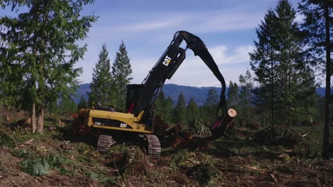 Pacific Northwest Logging Operation Stock Footage 204875834