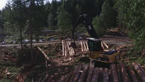 Pacific Northwest Logging Operation Stock Footage 204875996