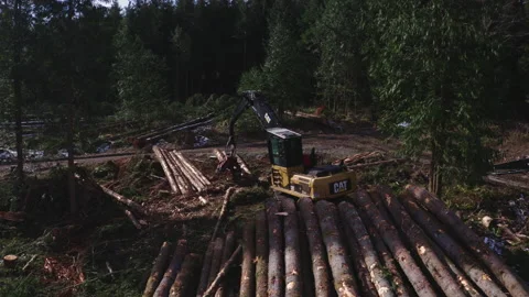 Pacific Northwest Logging Operation Stock Footage 204876007