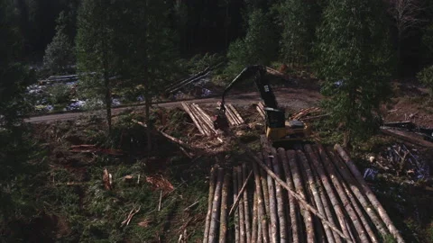 Pacific Northwest Logging Operation Stock Footage 204876026