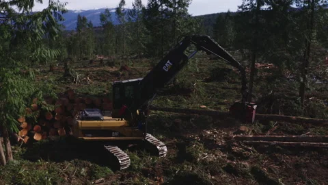 Pacific Northwest Logging Operation Stock Footage 204876046