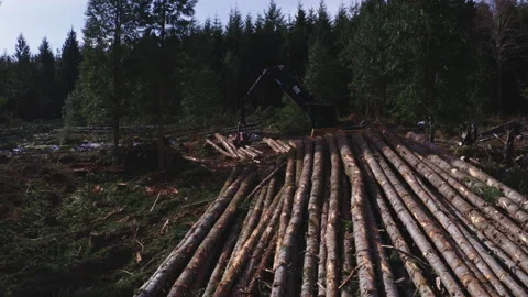 Pacific Northwest Logging Operation Stock Footage 204876150