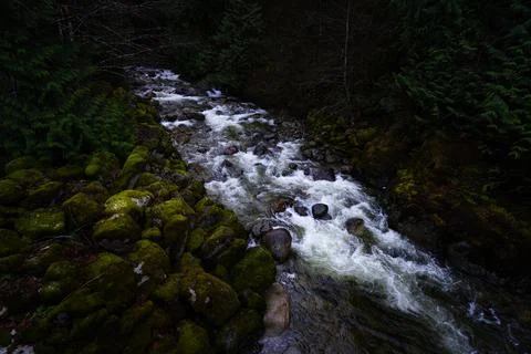Pacific Northwest River Stock Photos
