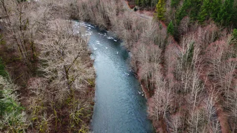 Pacific Northwest smooth backwards shot of flowing Cedar River in Stock Footage 267277600
