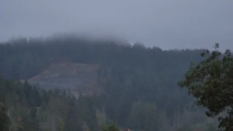 Pacific NW Farm Stock Footage 92873114