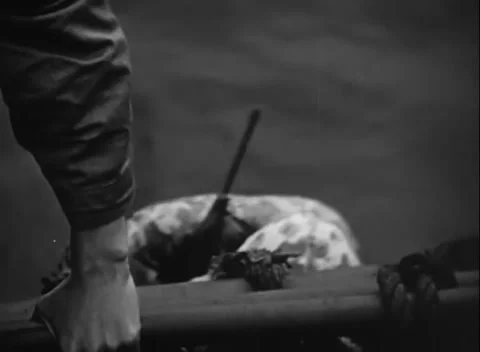 PACIFIC OCEAN - 1945: Amphibious ops - Hand Gripping Ship Rail Stock Footage 343786813