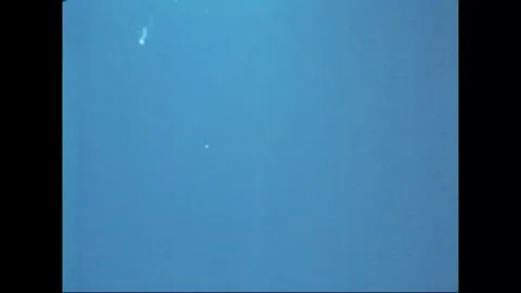 PACIFIC OCEAN - 1960 - The ocean's deep scattering layer is explained. Stock Footage 340589713