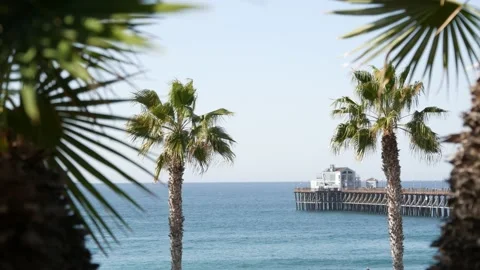 Pacific ocean beach, palm tree and pier. Tropical waterfront resort near Los Stock Footage 146774508