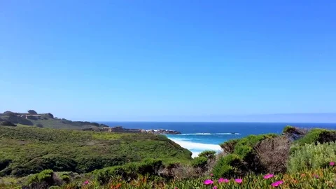 The Pacific Ocean at the Big Sur area, Calla Lilly Valley, California, USA Stock Footage 69157637
