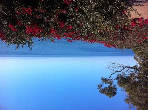 Pacific Ocean Cliff View 스톡 사진