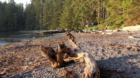 Pacific Ocean Coast Beach View, Canada British Columbia Vancouver Island Stock Footage 124974331