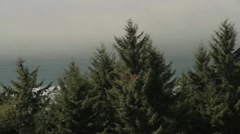 Pacific Ocean from Nelson Ridge Trail Oregon Video stock 12117066