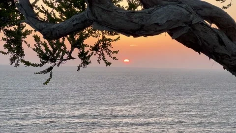 Pacific OCean sunset Stock Footage 238054018