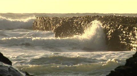 Pacific Ocean Waves and Rocks near tidepool Stock Footage 684305