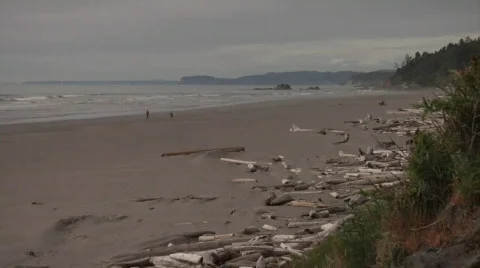 Pacific Ocean Waves On Beach Stock Footage 138323