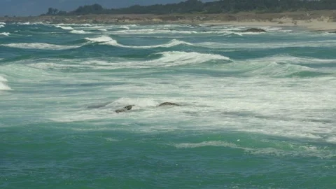 Pacific Ocean waves break over coastal rocks near Fort Bragg California Stock Footage 345367114