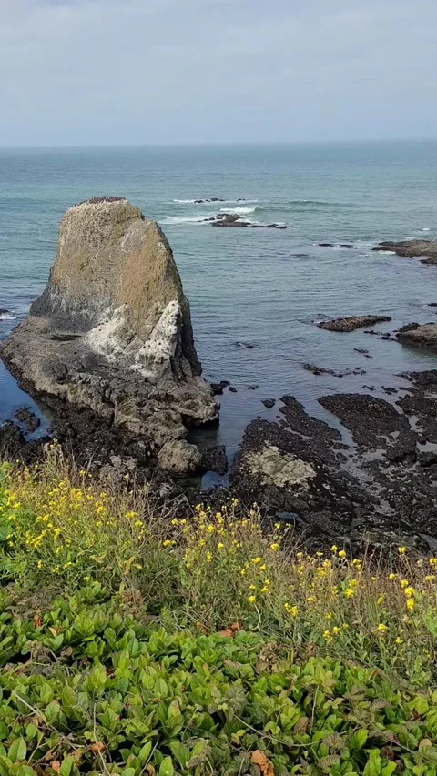 Pacific Ocean Waves Breaking Around Sea Stack on Oregon Coast Stock Footage 330313464