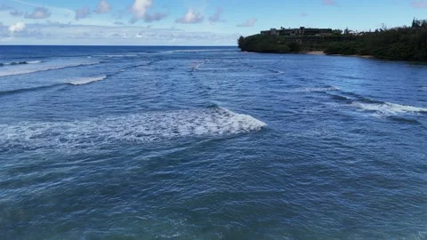 Pacific Ocean Waves Stock Footage 254995886