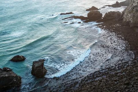 The Pacific Ocean waves at Nugget Point Stock Photos